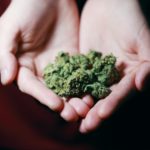 Medical marijuana, Thinking about trying medical marijuana?